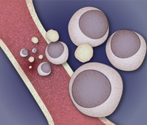 
                      
                      
                      
                      best hematologist in vizag
                  
                  
                  
                  