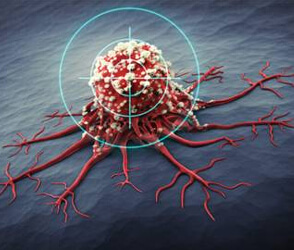 
                      
                      
                      hematologist meaning
                  
                  
                  