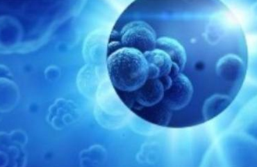 Hematology Oncology doctors